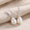 Classic Oval Teardrop Pendant Earrings